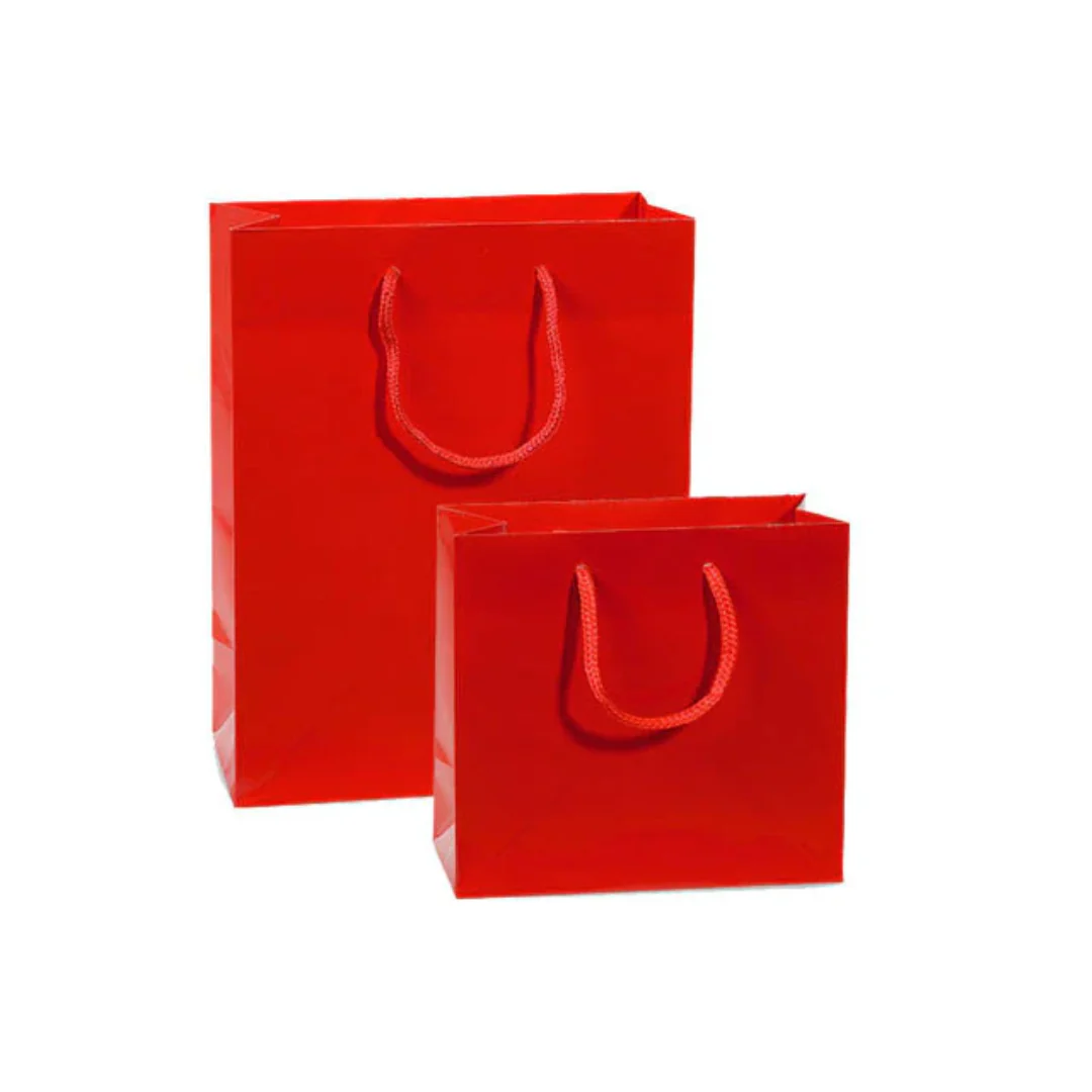 Heavyweight Paper Gift Bag (Various Colors)