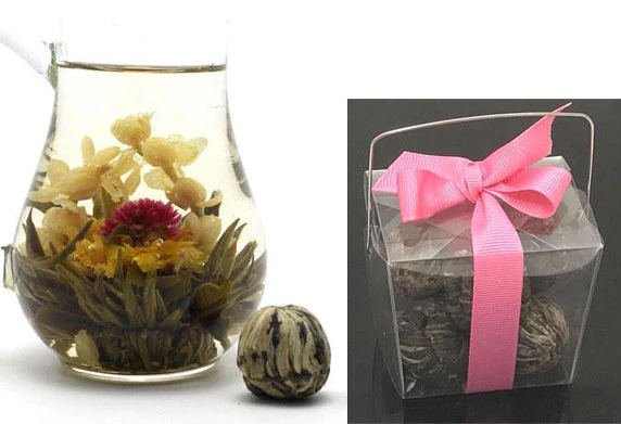 Blooming Flowering Jasmine Tea Bulb - Image 5