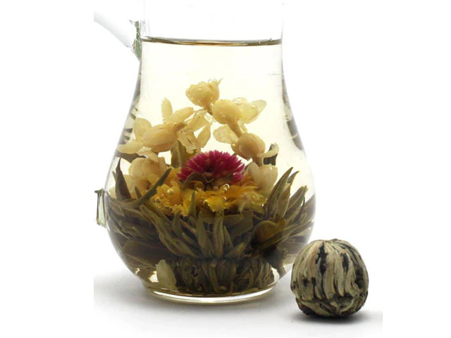 Blooming Flowering Jasmine Tea Bulb - Image 6