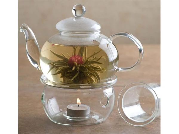 Blooming Flowering Jasmine Tea Bulb - Image 7
