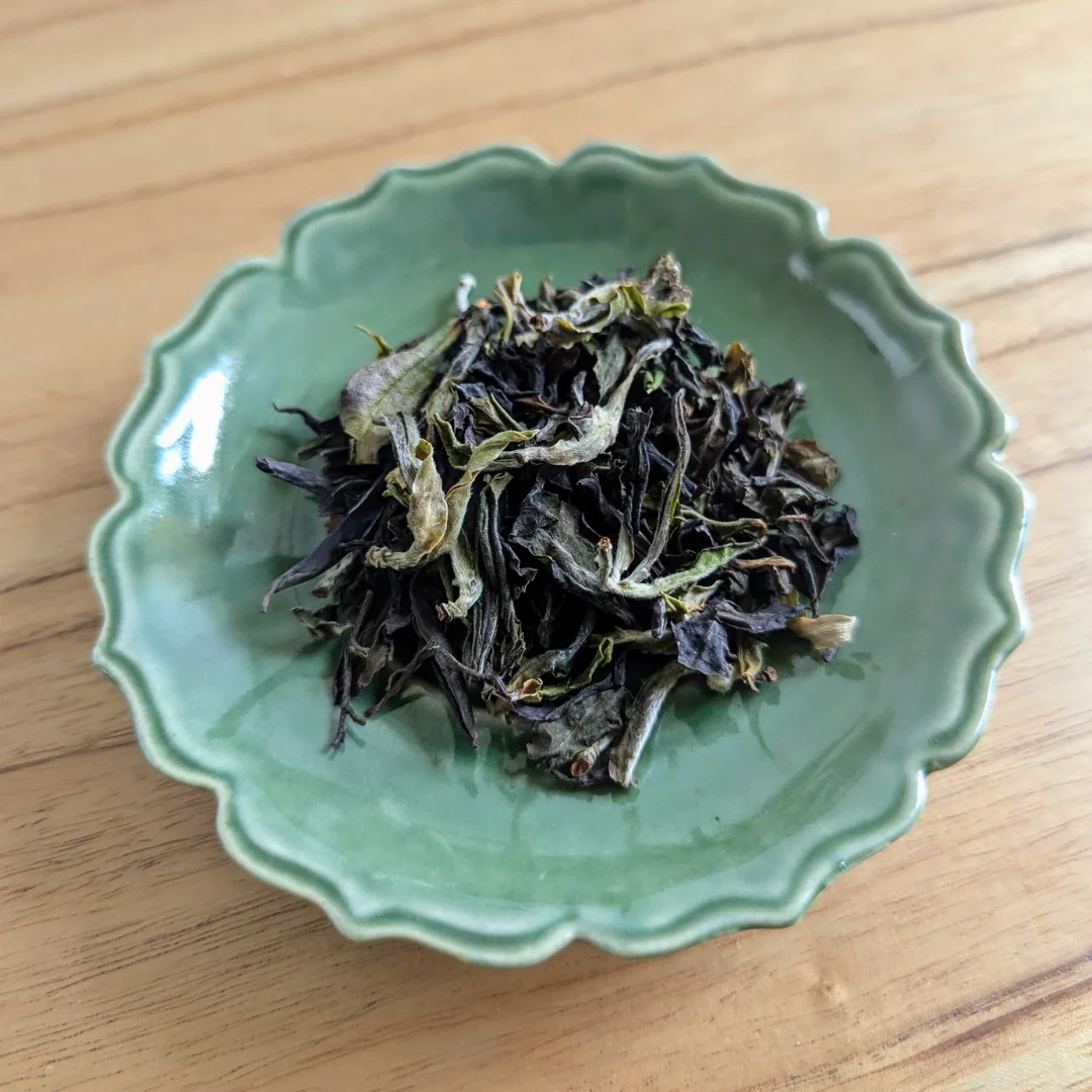 Anna Ye Tea Spring Forest White Loose Leaf Tea